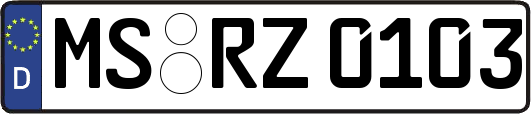 MS-RZ0103