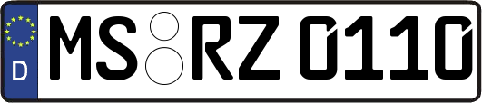 MS-RZ0110