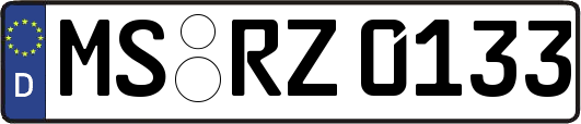 MS-RZ0133
