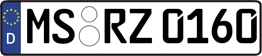 MS-RZ0160