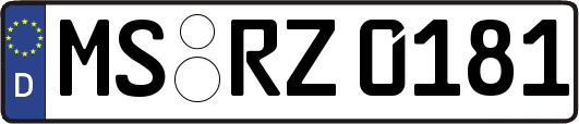 MS-RZ0181