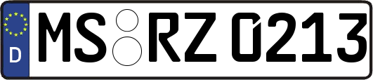 MS-RZ0213