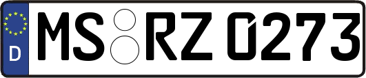 MS-RZ0273