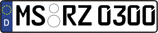MS-RZ0300