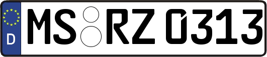 MS-RZ0313