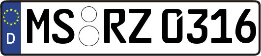 MS-RZ0316