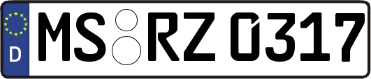 MS-RZ0317