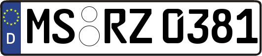 MS-RZ0381