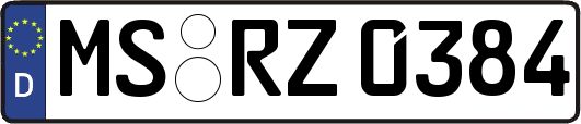 MS-RZ0384