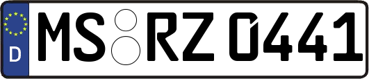 MS-RZ0441
