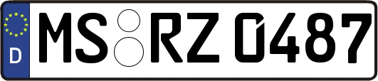 MS-RZ0487