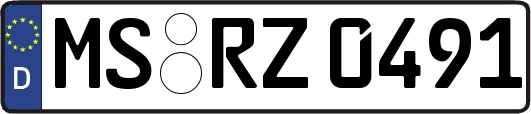 MS-RZ0491