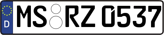 MS-RZ0537