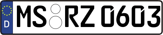 MS-RZ0603