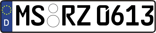 MS-RZ0613