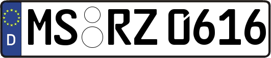 MS-RZ0616