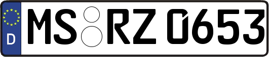 MS-RZ0653