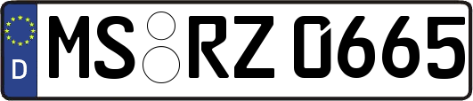 MS-RZ0665