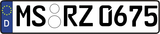 MS-RZ0675