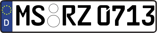 MS-RZ0713