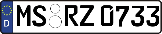 MS-RZ0733
