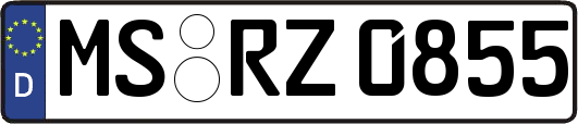 MS-RZ0855