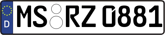 MS-RZ0881