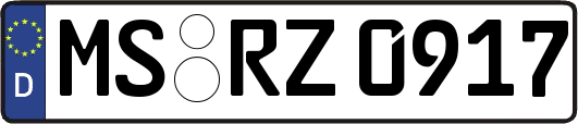 MS-RZ0917