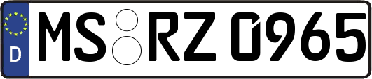 MS-RZ0965