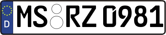 MS-RZ0981