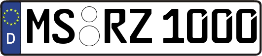 MS-RZ1000