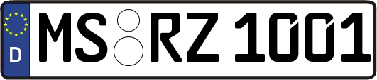 MS-RZ1001