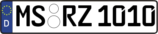MS-RZ1010