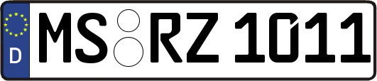 MS-RZ1011