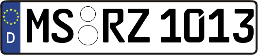 MS-RZ1013