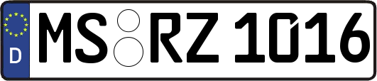MS-RZ1016