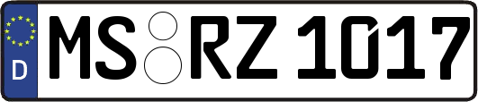 MS-RZ1017