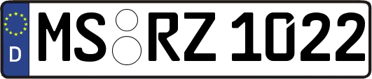 MS-RZ1022