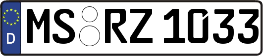 MS-RZ1033