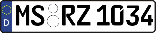 MS-RZ1034