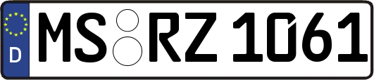 MS-RZ1061