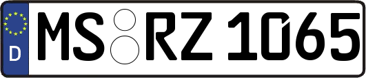 MS-RZ1065