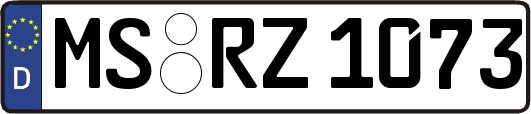 MS-RZ1073