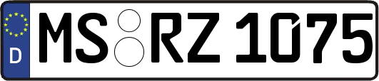 MS-RZ1075