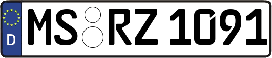 MS-RZ1091