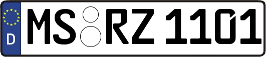 MS-RZ1101
