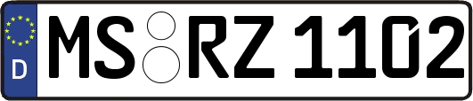 MS-RZ1102