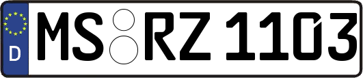 MS-RZ1103