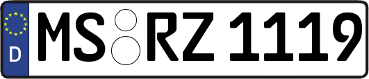 MS-RZ1119