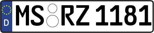 MS-RZ1181